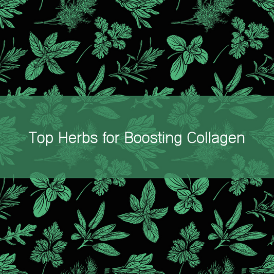 Top Herbs for Boosting Collagen
