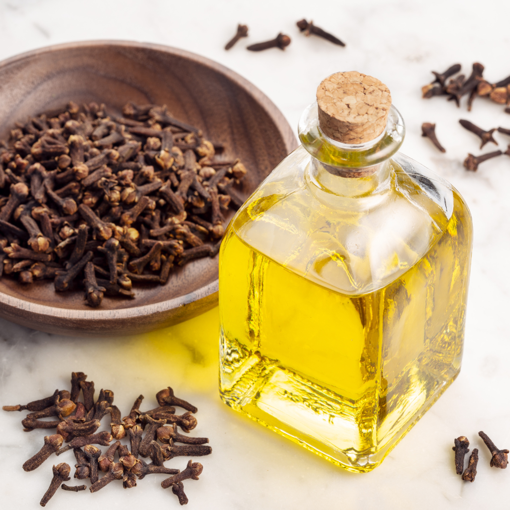 The Benefits of Clove Oil for Pimples