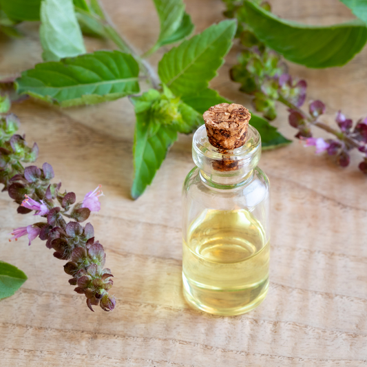 Benefits of Using Tulsi Oil