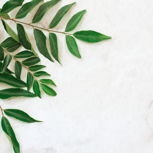 Top Ayurvedic Shops Near Your Location