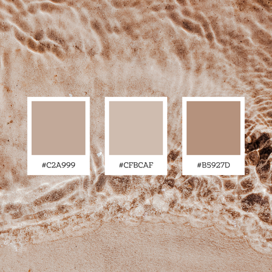 Understanding the Skin Tone Palette: Guide