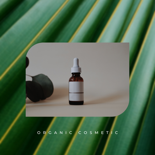 6 Benefits of Using Clove Essential Oil Diffuser