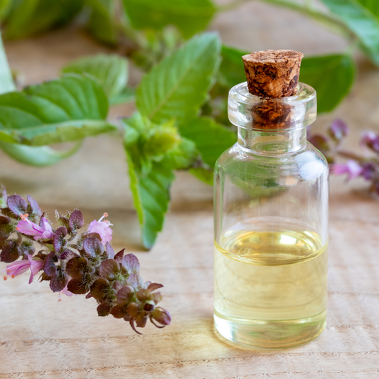 6 Benefits of Using Tulsi Essential Oil
