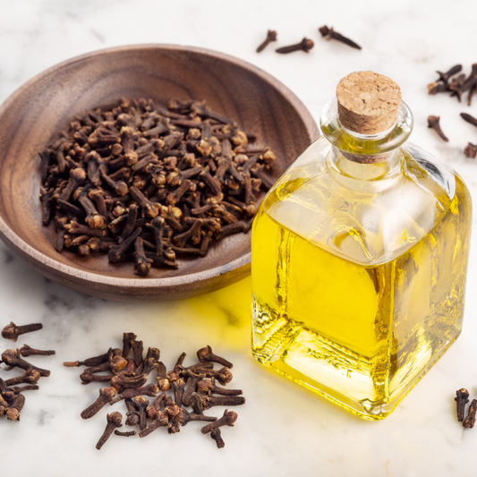 Benefits of Using Clove Oil