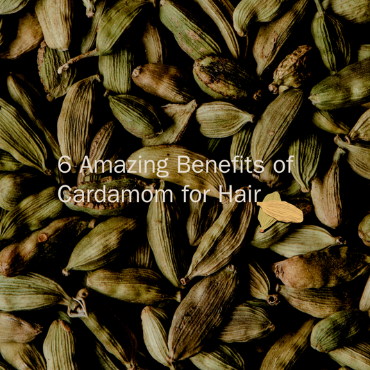 6 Amazing Benefits of Cardamom for Hair