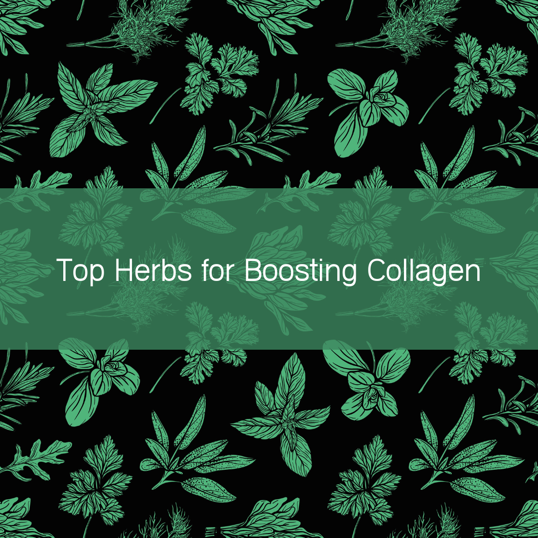 Top Herbs for Boosting Collagen