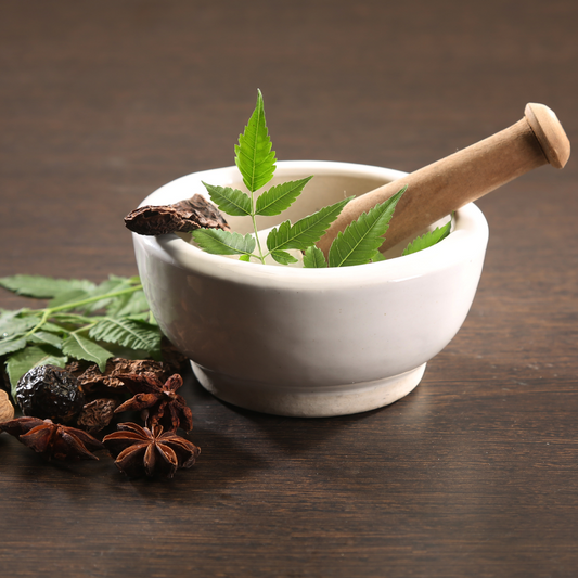 The Importance of Ritual Grooming