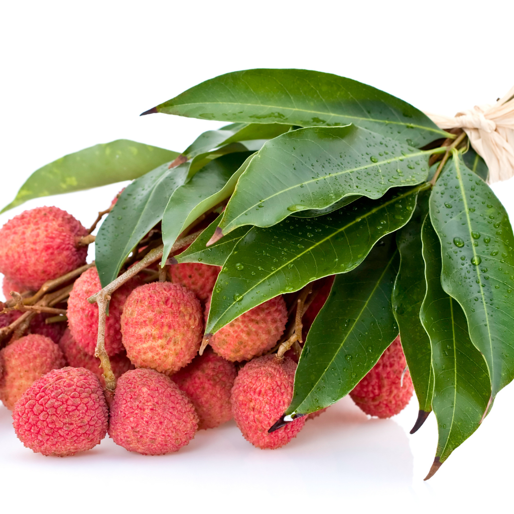 6 Delicious Litchi Delights to Try