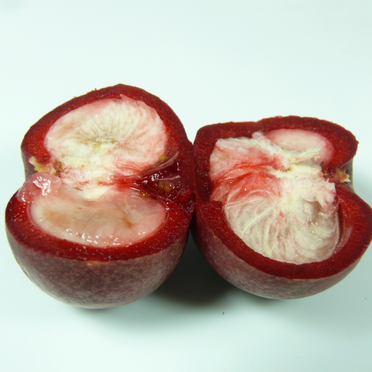6 Amazing Benefits of Kokum Butter