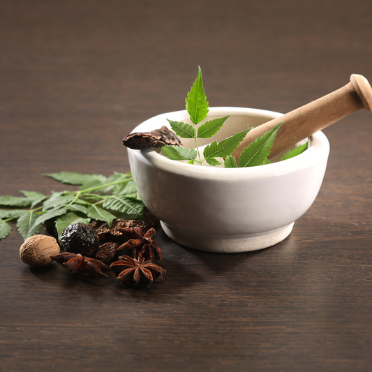 Top Ayurvedic Shops Near Your Location