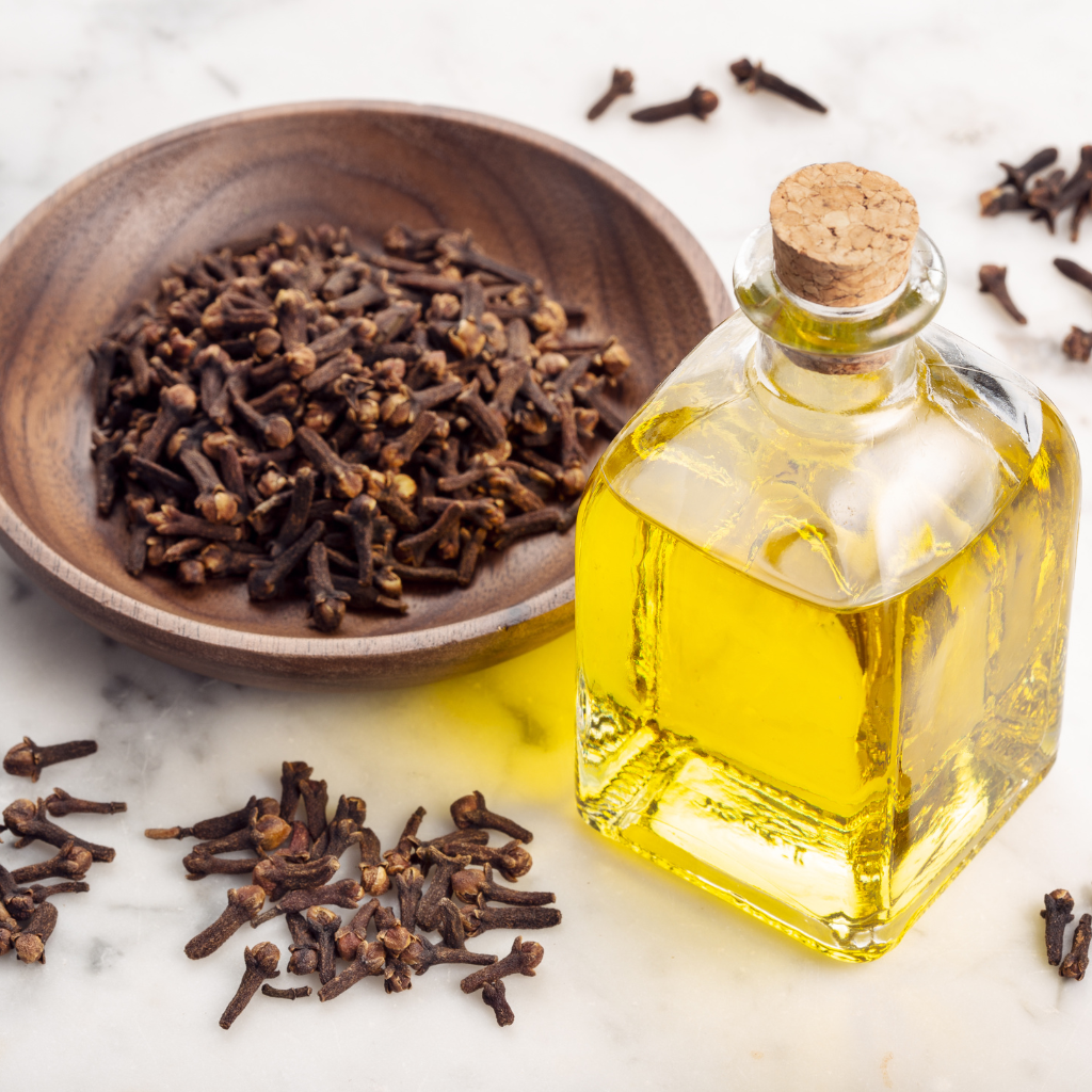 Benefits of Using Clove Oil