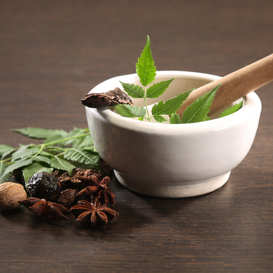 The Benefits of Ayurvedic Medicine