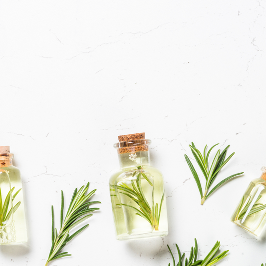 Top 10 Must-Have Green Living Essentials