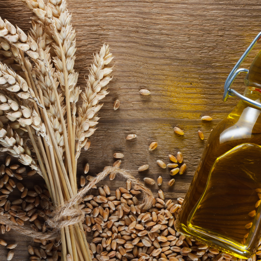 Benefits of Wheat Germ Oil