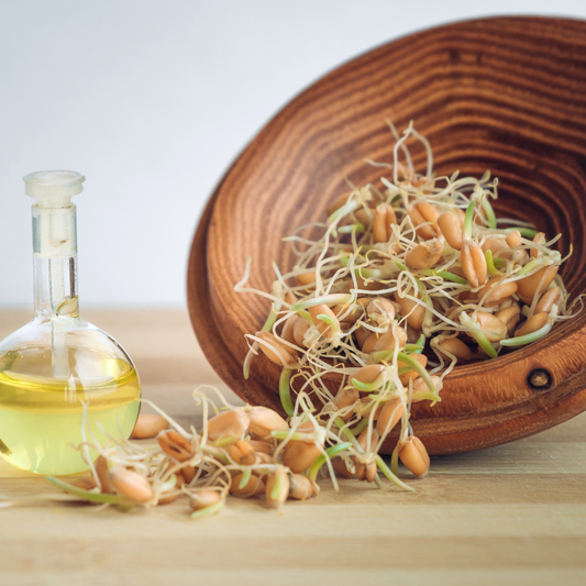 Benefits of Using Wheat Germ Oil
