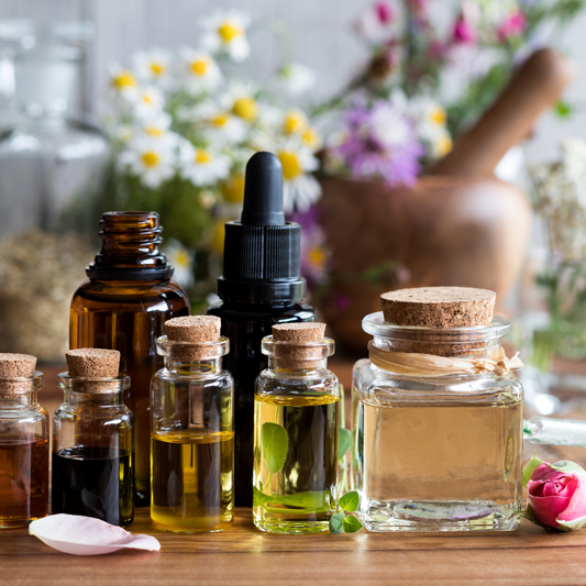 Top 10 Must-Have Green Living Essentials