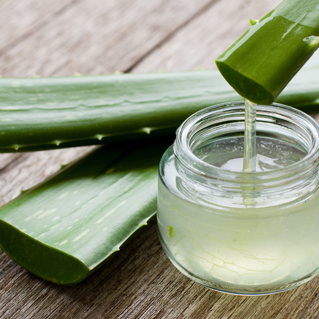 is aloe vera good for oily skin