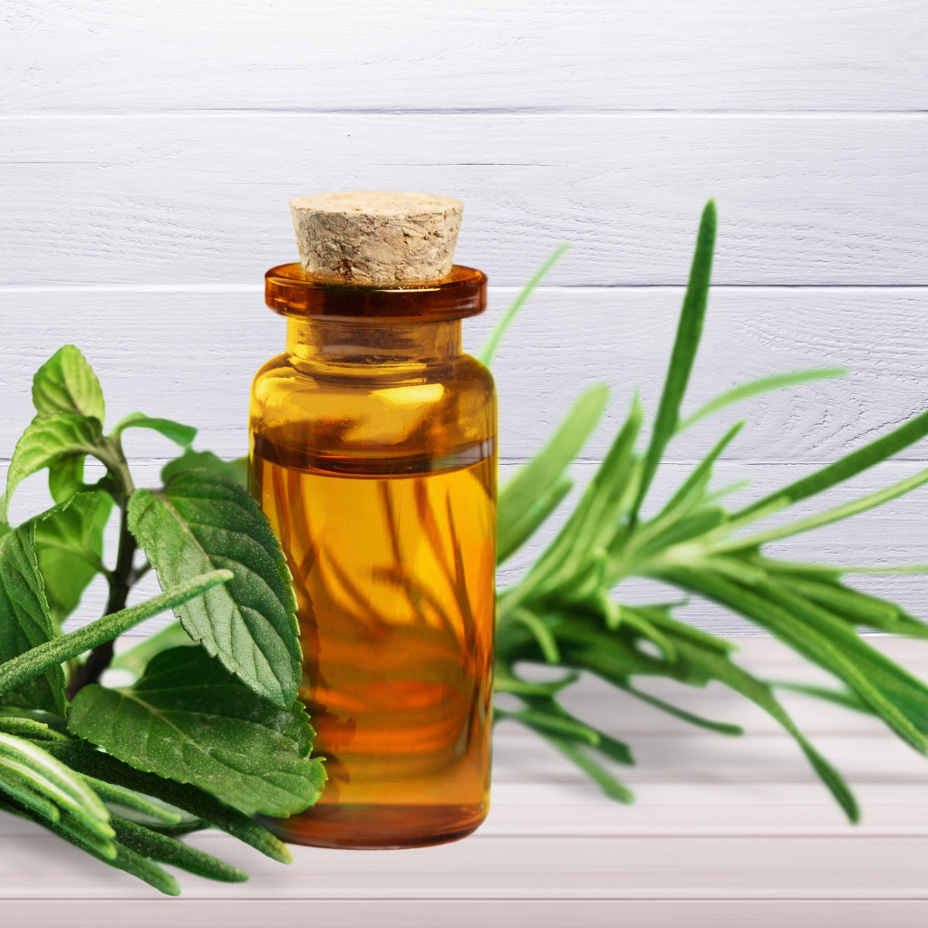 6 Surprising Health Benefits of Basil Oil