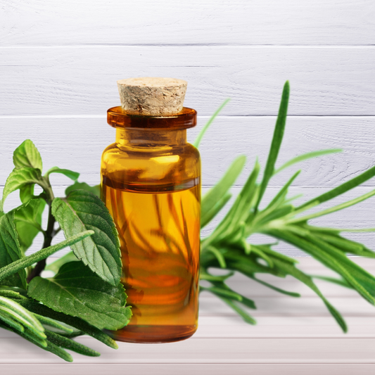 6 Surprising Health Benefits of Basil Oil