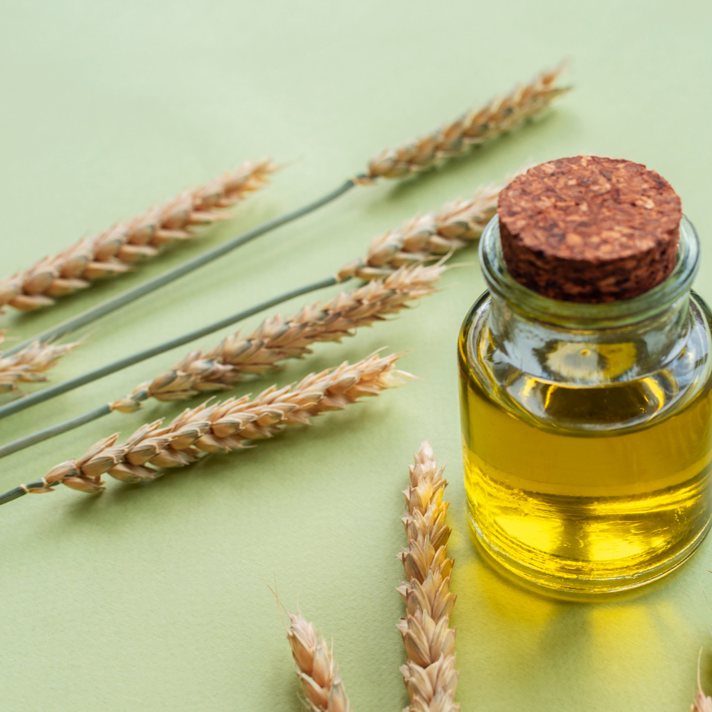 Benefits of Using Wheat Germ Oil